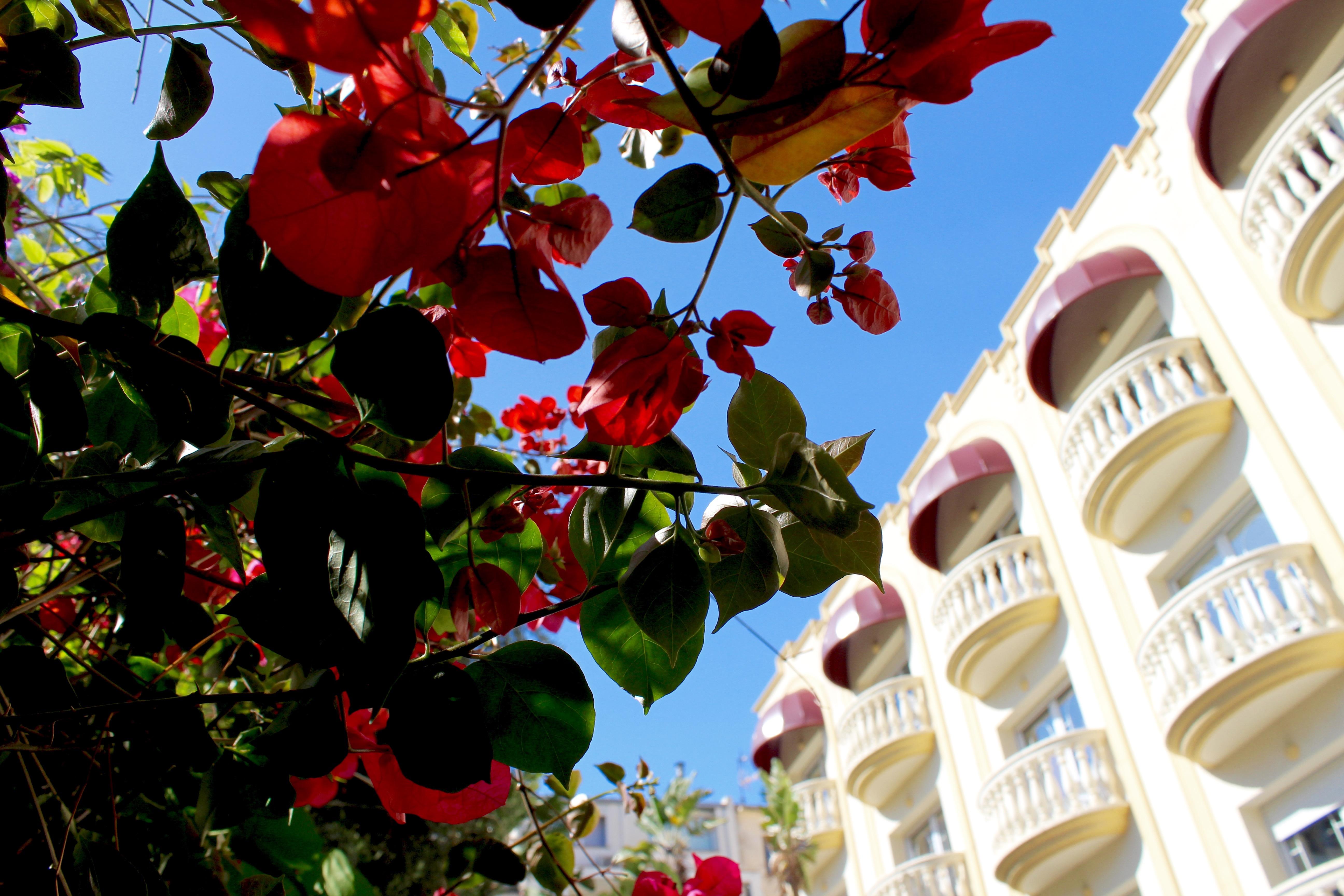 Urh Sitges Playa Ξενοδοχείο Εξωτερικό φωτογραφία